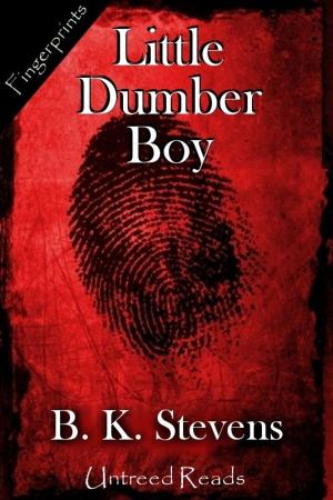 Cover of the book Little Dumber Boy by Brendan Jones