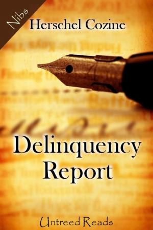 Cover of the book Delinquency Report by Marsha Qualey