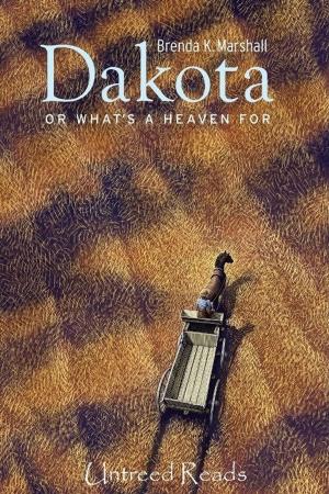 Cover of the book Dakota, Or What's A Heaven For by Arlen Blumhagen