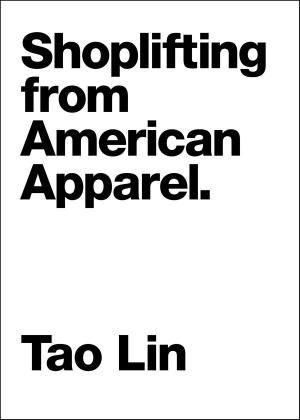 Cover of the book Shoplifting From American Apparel by David Baird