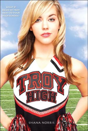 Cover of the book Troy High by Jonathan Auxier