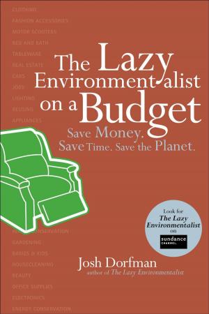 bigCover of the book The Lazy Environmentalist on a Budget by 