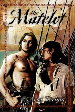 Cover of the book The Matelot by Chris Quinton