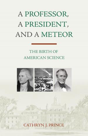 Book cover of A Professor, A President, and A Meteor