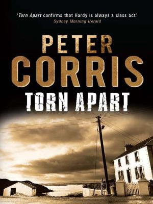 Cover of the book Torn Apart by J.L. Hays