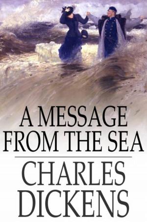 Cover of the book A Message from the Sea by Irving E. Cox