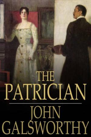 Cover of the book The Patrician by Poul Anderson