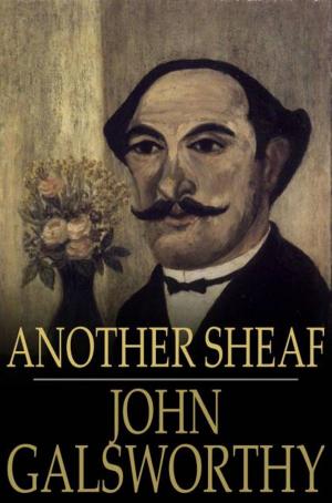 Cover of the book Another Sheaf by John Galsworthy