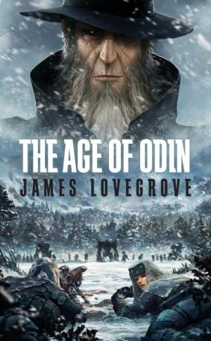 Cover of the book The Age of Odin by Rebecca Levene