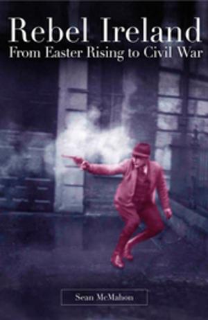 Cover of the book Rebel Ireland:From Easter Rising to Civil War by Declan Dunne
