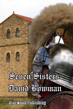 Cover of the book Seven Sisters by David Bowman