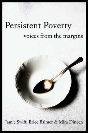 Book cover of Persistent Poverty