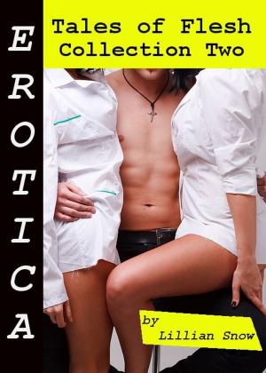 Cover of the book Erotica: Tales of Flesh, Collection Two by Sasha Moans