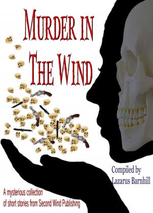 bigCover of the book Murder in the Wind by 
