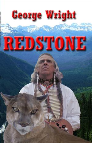 Cover of the book Redstone by Heidi Thurston