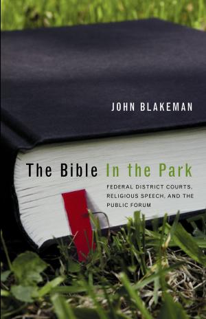 Cover of the book The Bible in the Park by David Brendan Hopes