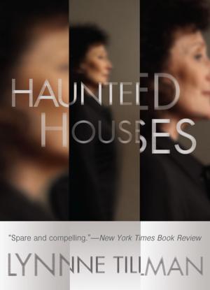 Cover of the book Haunted Houses by Louise Hawes