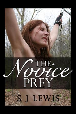 Cover of the book The Novice Prey by Lizbeth Dusseau