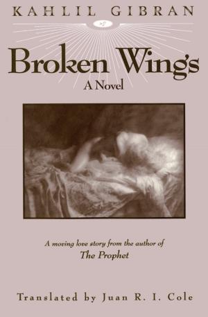 Cover of the book Broken Wings by Sumbul Ali-Karamali