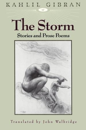 Cover of the book The Storm by 
