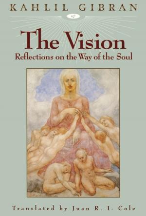 Cover of the book The Vision by Bridget Blomfield