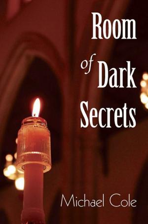 Book cover of Room of Dark Secrets