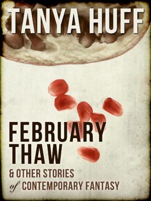 Book cover of February Thaw and Other Stories of Contemporary Fantasy
