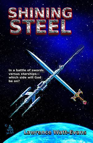 Cover of the book Shining Steel by Meredith Rose