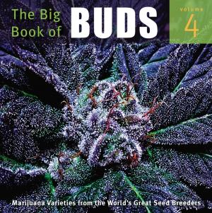 Cover of the book The Big Book of Buds by Ed Rosenthal, J. C. Stitch