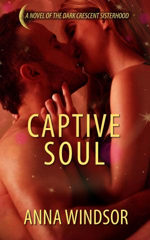 Cover of the book Captive Soul by J.J. McAvoy