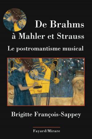 Cover of the book De Brahms à Mahler et Strauss by Geoffroy de Lagasnerie