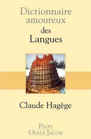 Cover of the book Dictionnaire amoureux des langues by Jean SÉVILLIA