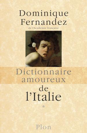 Cover of the book Dictionnaire amoureux de l'Italie by Sylvie GIRARD-LAGORCE