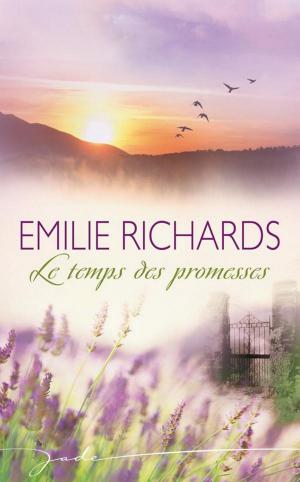 Cover of the book Le temps des promesses by Kat Martin, B.J. Daniels