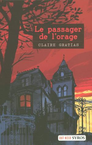 Book cover of Le passager de l'orage