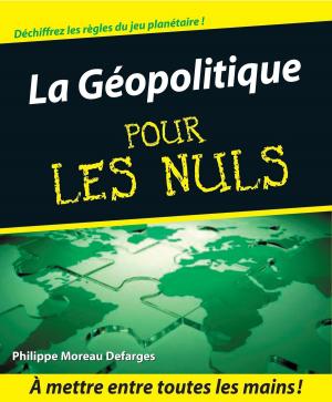 Cover of the book La Géopolitique Pour les Nuls by Peter WEVERKA
