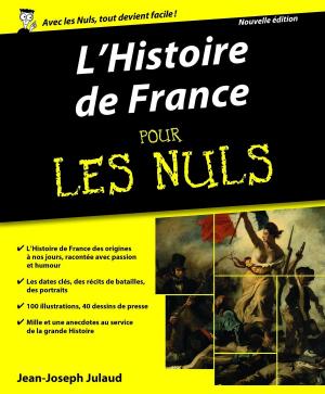Cover of the book L'Histoire de France Pour les Nuls by LONELY PLANET FR