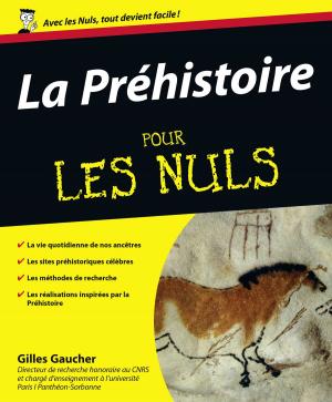 Cover of the book La Préhistoire Pour les Nuls by LONELY PLANET FR