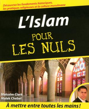 Cover of the book L'Islam Pour les Nuls by Dan GOOKIN, Andy RATHBONE, Margaret LEVINE YOUNG, Carol BAROUDI, John R. LEVINE
