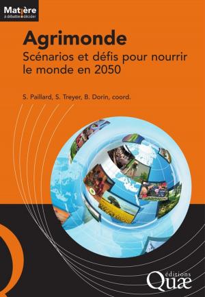 Cover of the book Agrimonde by Marion Bardy, Laëtitia Citeau, Dominique King, Antonio Bispo