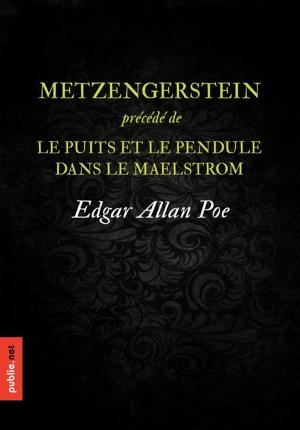 Cover of the book Metzengerstein by Gustave Flaubert