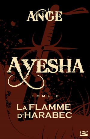 Cover of the book La Flamme d'Harabec by Miles Cameron