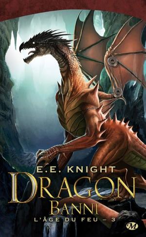 Book cover of Dragon Banni