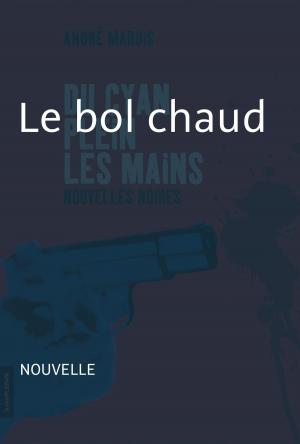 Cover of the book Le bol chaud by André Marois