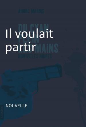Cover of the book Il voulait partir by Deni Y. Béchard