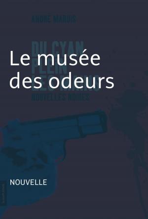 Cover of the book Le musée des odeurs by Stanley Péan