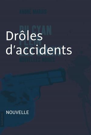 Cover of the book Drôles d'accidents by Maureen Martineau