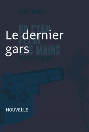 Cover of the book Le dernier gars by Matthieu Simard