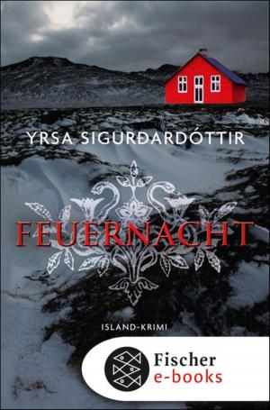 Cover of the book Feuernacht by Eric-Emmanuel Schmitt