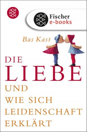 Cover of the book Die Liebe by Prof. Dr. Hans Markus Heimann